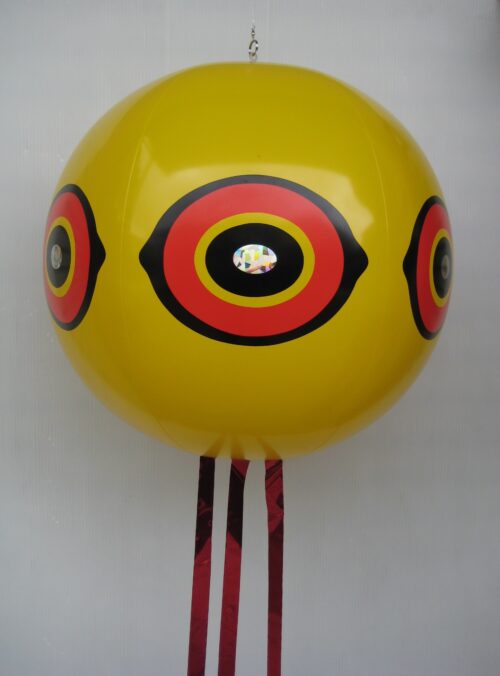 防鳥・六眼竜のイメージ