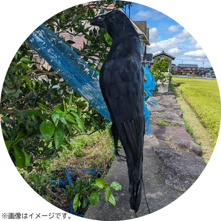 愛農 カラスのカーコ PK-50